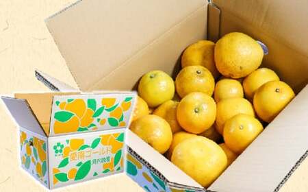 訳あり 愛南ゴールド（河内晩柑) 5kg 柑橘 みかん 傷 不揃い 規格外 常温 愛南町 青果市場 愛媛県