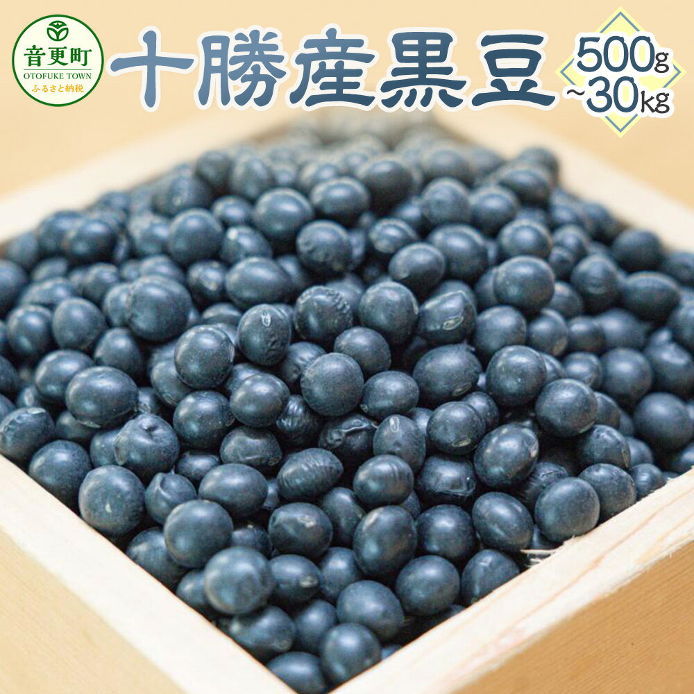 【ふるさと納税】【令和6年産】「JAおとふけ」黒豆 ＜選べる容量＞ 500g 1kg 2kg 5kg 10kg 30kg 黒豆 くろまめ 豆 お豆 まめ 生豆 黒大豆 光黒大豆 豆類 お取り寄せ 国産 十勝 常温 北海道 音更町 送料無料
