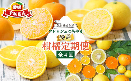 贈答用 秀品 柑橘定期便 全 4回 みかん定期便 先行予約 愛果28号 媛小春 おまかせ詰合せ 黄金柑 フレッシュつちやま 先行予約 蜜柑定期便 果物 くだもの フルーツ 柑橘 愛媛みかん みかん 蜜柑 ミカン mikan プレゼント ギフト 産地直送 数量限定 国産 愛媛 宇和島 B072-096025
