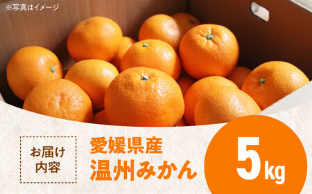 温州みかん5kg（S~Lサイズ）[AGBN047] 愛媛みかん愛媛みかん愛媛みかん愛媛みかん愛媛みかん愛媛みかん愛媛みかん
