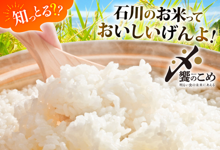 米 定期便 能登米 こしひかり 5kg ×12回 総計60kg [中橋商事 石川県 宝達志水町 38600792] コシヒカリ お米 コメ 6ヶ月 6か月 白米 精米 hurusatonouzei お