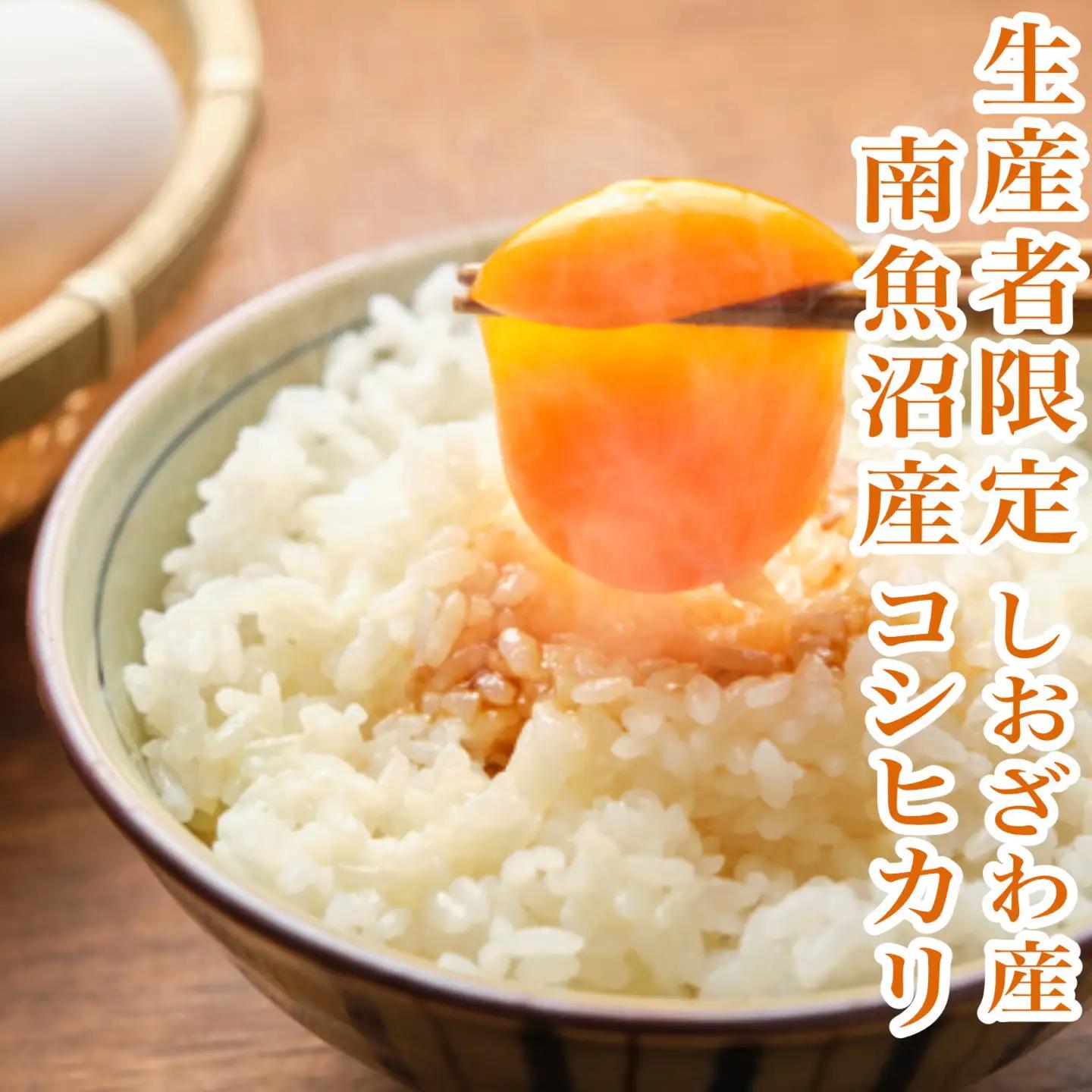 【令和8年　新米予約】定期便★２kg×6ヶ月 生産者限定 南魚沼しおざわ産コシヒカリ｜こしひかり【2026年10月上旬から1ヶ月以内に順次発送予定】