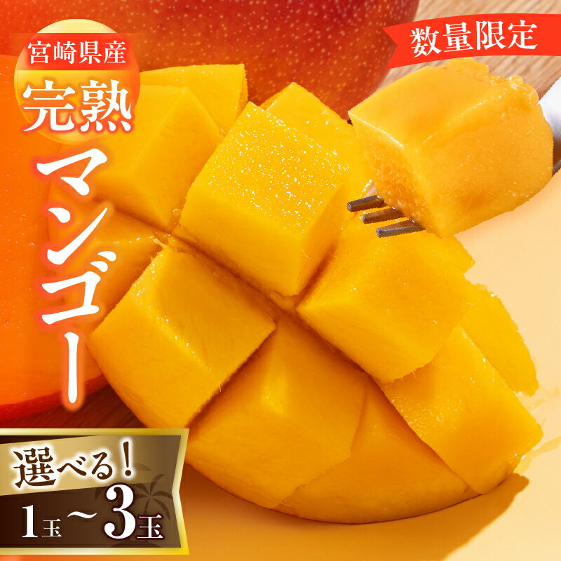 【ふるさと納税】レビューキャンペーン ≪内容量が選べる≫ 数量限定 宮崎県産 完熟マンゴー 1玉 ～ 3玉 期間限定 フルーツ スイーツ 果物 くだもの 食品 デザート 国産 産地直送 人気 おすすめ おやつ 高級 ご褒美 贅沢 贈り物 ギフト プレゼント 宮崎県 日南市 送料無料