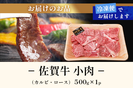 【訳あり】佐賀牛 焼肉 セット 小肉 500g ( カルビ ロース ) 黒毛和牛 詰め合わせ 焼肉セット B-840