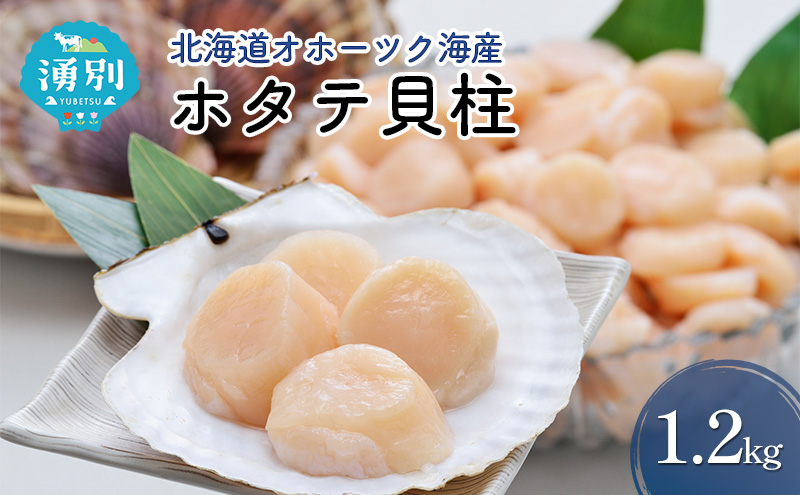 北海道 オホーツク海産 ホタテ 貝柱1.2kg 帆立 ほたて 刺身 玉冷 海鮮 魚介 冷凍 国産 サロマ湖 魚介類