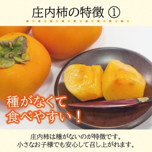 SA2920　庄内柿　約7.5kg