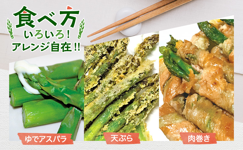 数量限定！【2026年分先行予約】 アスパラガス 専門農家 の 特選 グリーン アスパラ 800g  L サイズ 原農園 アスパラ あすぱら 野菜 北海道 上富良野町