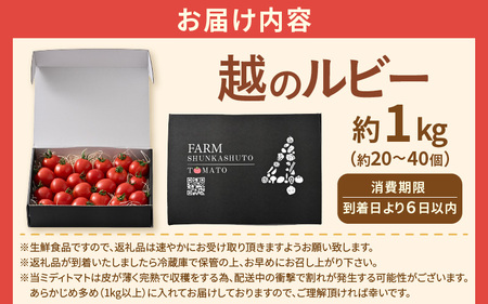 先行予約 福井県坂井市産 ミディトマト 越のルビー 1kg (約20～40個) 2026年10月中旬以降順次発送予定 野菜 とまと トマト ミディトマト [A-22201]