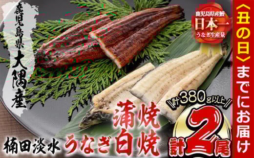 【丑の日までに配送】楠田の極うなぎ蒲焼190g以上×1尾・白焼190g以上×1尾(計380g以上) 山椒付たれ 鰻 ウナギ 蒲焼 白焼き うな重 ひつまぶし 鹿児島 冷凍 おかず お祝い 食べ比べ a7-022-us