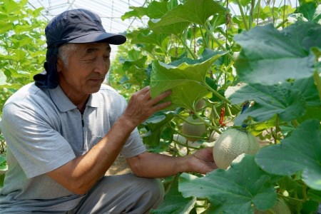 アールスメロン 大玉2玉（2024年8月から順次発送　入金期限：2024.7.31）