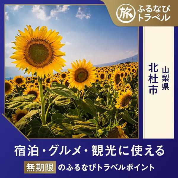 【旅行支援・宿泊無期限】旅行ポイント北杜市ふるなびトラベルポイント