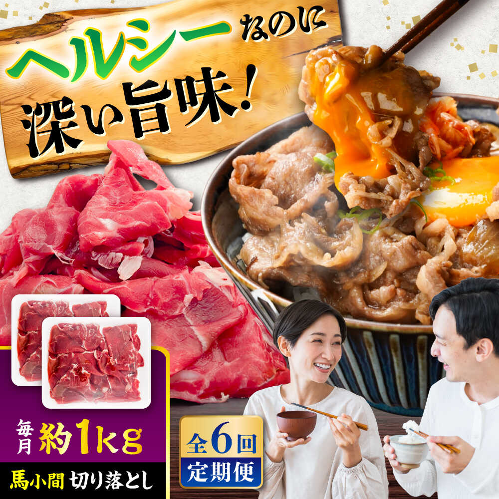 【ふるさと納税】【全6回定期便】馬小間切り落とし 約1kg (約500g × 2パック) / 馬肉 こま切れ きりおとし 切落とし 馬小間 熊本 馬肉 切り落とし ヘルシー【五右衛門フーズ】[BHCY039]