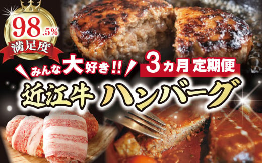 【期間限定】みんな大好き　ハンバーグ定期便【ZZ51U】