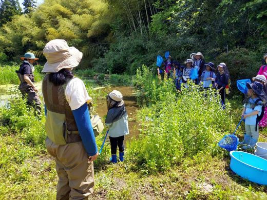 
            き24-009 【（一社）里山生物多様性プロジェクト】生き物屋さんと集落の自然環境を支える応援サポーター（思いやり型返礼品）
          