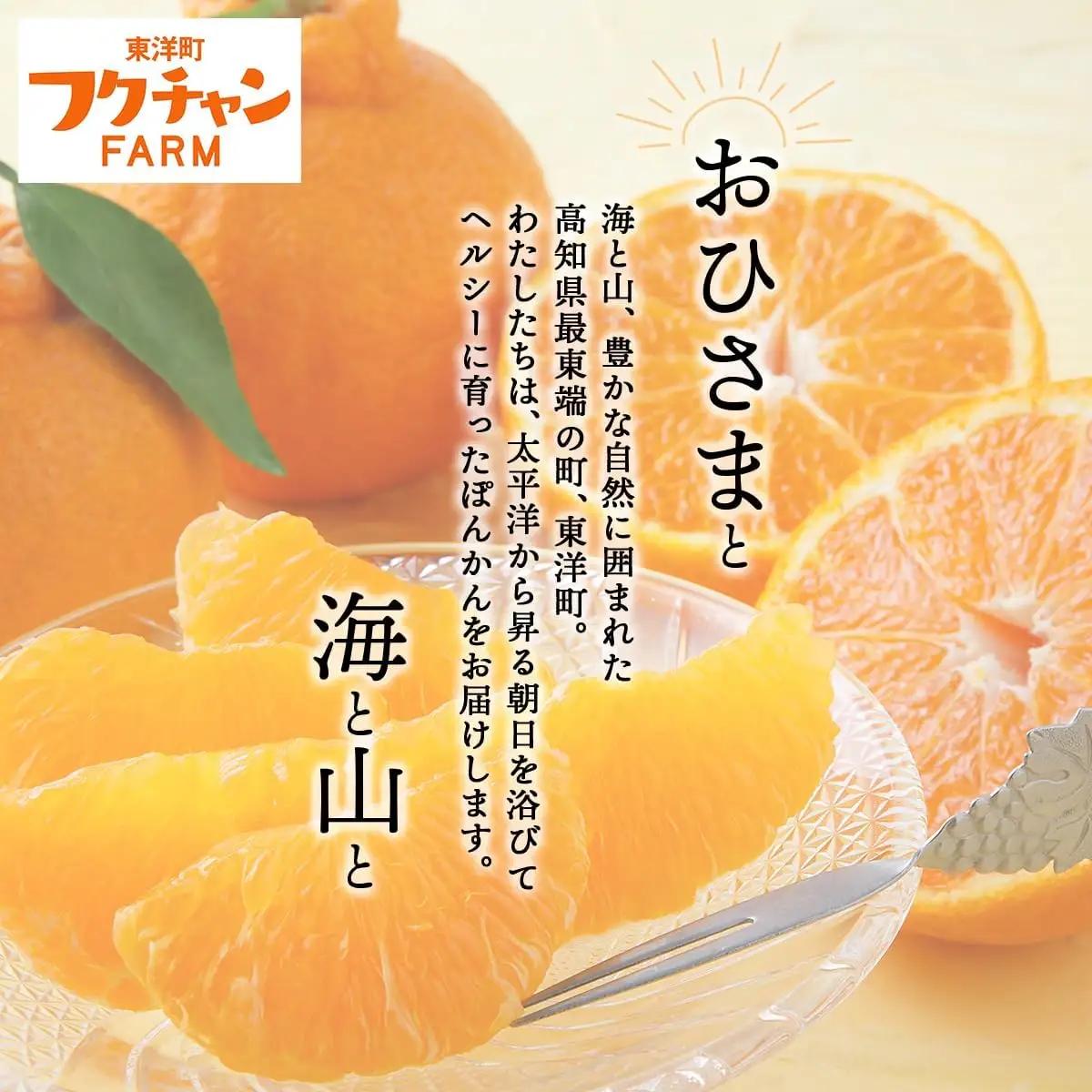 【先行予約】ジュース用訳ありぽんかん ＜5kg＞