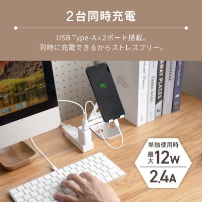 ふるさと納税 海老名市 (オウルテック)最大12W出力 USB Type-A×2 AC充電器 |  | 03