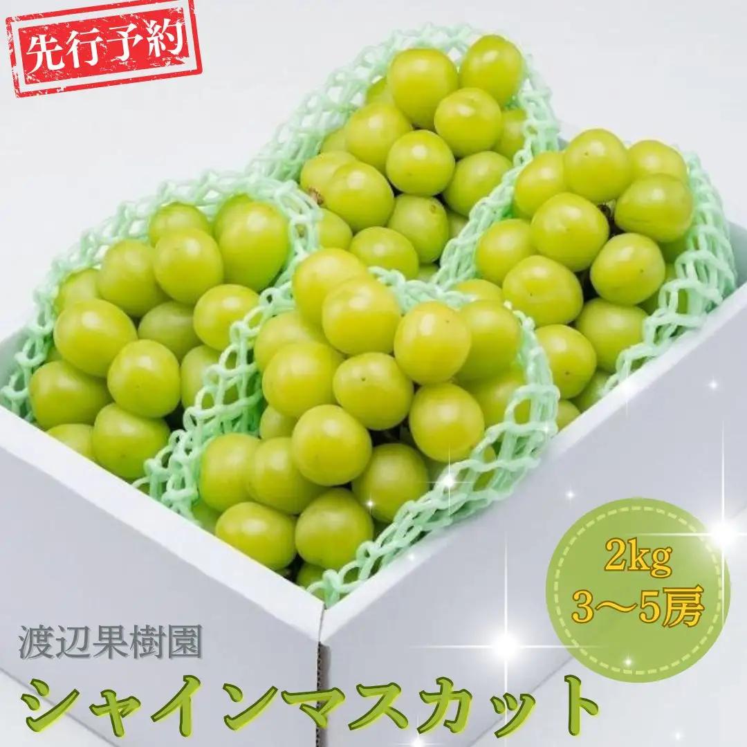先行予約 シャインマスカット 2kg  (3~5房) 令和8年度 贈答用 渡辺果樹園