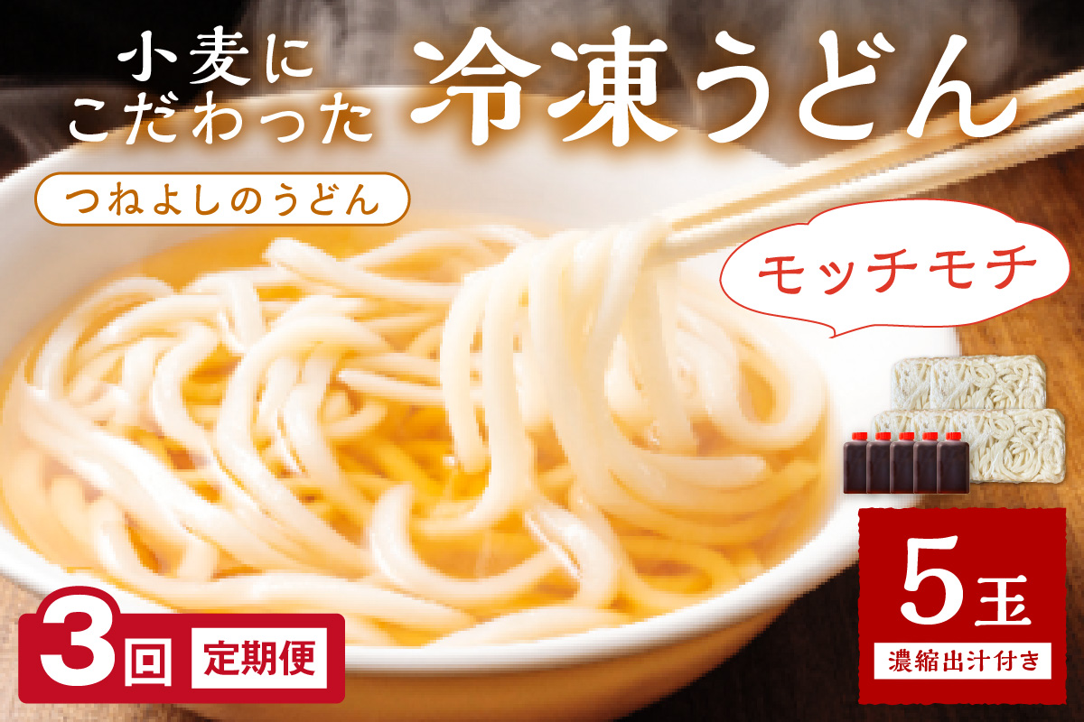 時短調理！モチモチうどん／京丹後つねよしの冷凍うどん 5玉入り（5食分） 濃縮出汁付き　定期便（月1回×3ヶ月）　KI00031