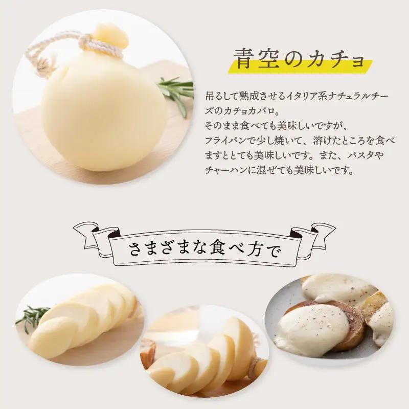 カチョカバロチーズ 2個詰め合わせ (プレーン) チーズ 発酵食品 熟成 [A-11904]