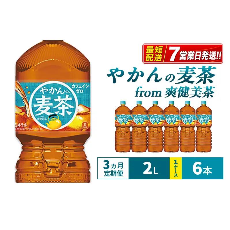 爽健美茶 やかん 2L 定期便 3ヶ月 麦茶 コカ・コーラ 