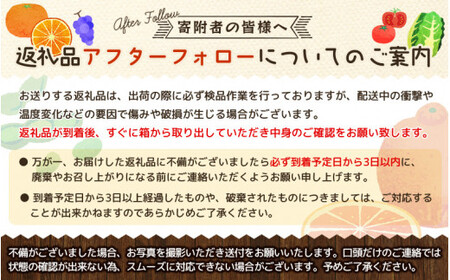 セミノールオレンジ 5kg（小さめサイズ混合）　※2024年4月中旬～5月中旬頃より順次発送予定　【krf005-h】