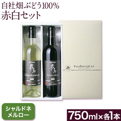 【ふるさと納税】自社畑ぶどう100%赤白セット 750ml×2本 シャルドネ メルロー (株)飛鳥ワイン《30日以内に出荷予定(土日祝除く)》大阪府 羽曳野市 飛鳥ワイン 秀逸畑シリーズ アルコール ワイン 白ワイン 赤ワイン 酒 セット