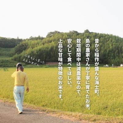 ふるさと納税 海士町 【定期便4ヵ月】計20kg!令和7年度新米 きぬむすめ 5kg×4か月定期便 |  | 02