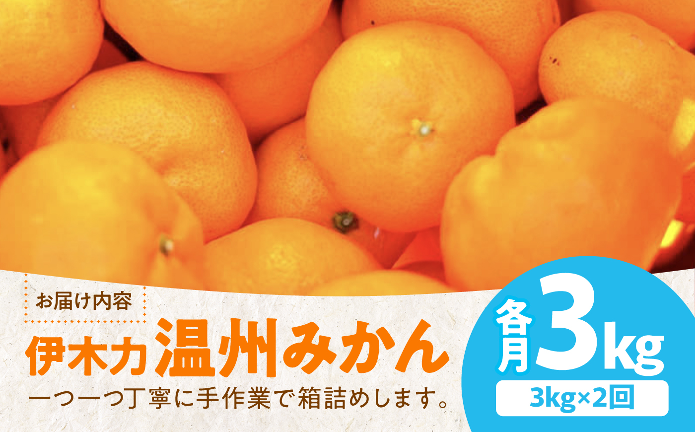 【2回定期便】伊木力温州みかん3kg (ご家庭用、箱入り) / 伊木力 温州みかん みかん ミカン 蜜柑 佐瀬 諫早 多良見 長崎 / 末永果樹園 [AHBD008]