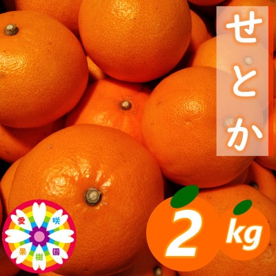 愛咲果樹園「せとか」約2kg【C71−22】【1598822】