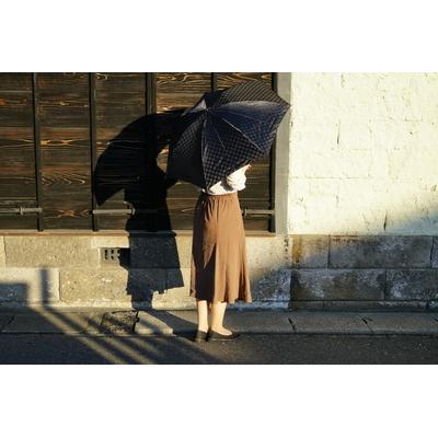 ふるさと納税 古河市 雪華模様の折り畳み傘(サイズ55cm)カラー:ブラック | 傘 かさ 折りたたみ傘 _BL01 |  | 01