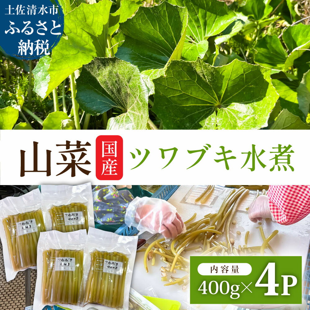 【ふるさと納税】ツワブキ 水煮 400g×4パック 1.6kg 1.6キロ 山菜 下処理済み 野菜 春の食材 煮物 佃煮 料理 石蕗 食品 お取り寄せ 真空 冷凍 配送 高知県 土佐清水市 故郷納税 返礼品 高知 送料無料【R01450】