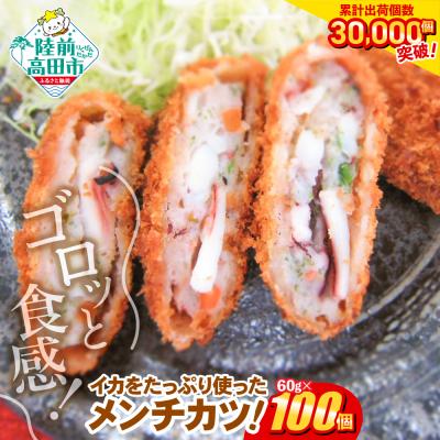 ふるさと納税 陸前高田市 ゴロっとイカメンチ 60g×100個 合計6kg 冷凍 惣菜 揚げ物 フライ
