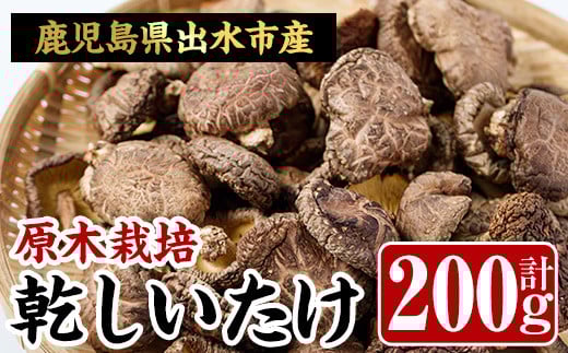 
            i343 鹿児島県出水市産！原木乾しいたけ200g(100g×2パック)原木栽培の国産椎茸を干しシイタケに！  干し椎茸 干しシイタケ しいたけ 椎茸 シイタケ 乾燥椎茸 栽培 原木栽培 国産 きのこ 茸 野菜 出汁 料理 常温【イーサイドライン】
          