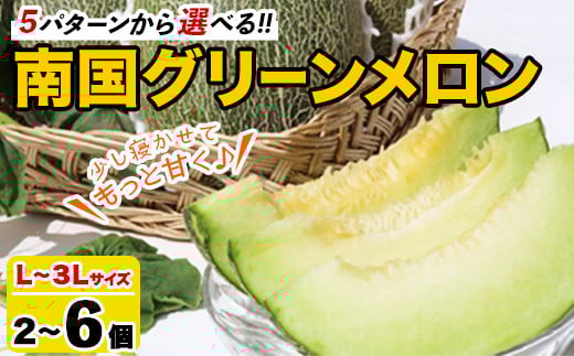 
            ＜内容量から選べる！＞鹿児島県産！南国グリーンメロン(L～3Lサイズ・2～6個) メロン めろん 果物 スイーツ デザート フルーツ【あくね旬の店いきいき館】
          
