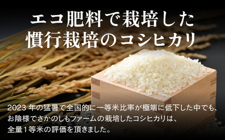 【先行予約】【令和8年産 新米】エコ栽培コシヒカリ  白米5kg×12回 計60kg ／ 鮮度抜群 福井県産 こしひかり ご飯 新鮮 白米 ※2026年10月上旬以降順次発送 [aw063-k005]