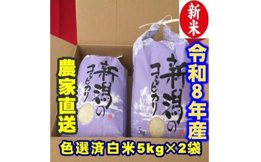 【令和8年産新米】 新潟県産 「従来こしひかり」 白米 10kg（5kg×2袋） 阿賀野市産 中島農場 精米 新潟県 米 こめ コメ お米 ごはん ご飯 農家直送 色彩選別済 新米 令和8年産   3R17032