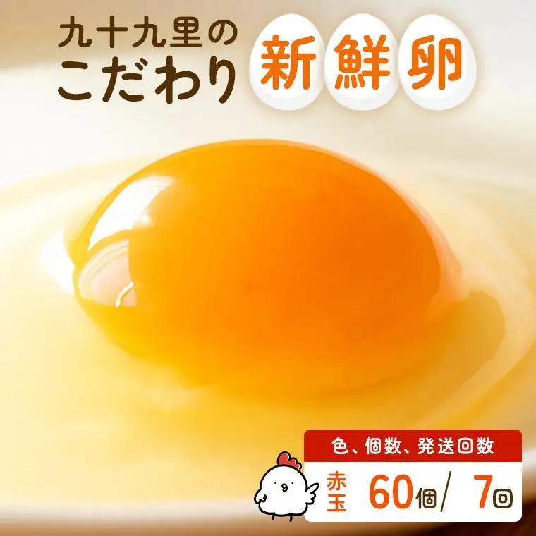 【定期便7回】九十九里ファームこだわりたまご贈答用 60個 ～あおい海・みどりの里～《赤玉》 たまご 卵 玉子 タマゴ 赤玉 卵かけご飯 新鮮 旨み 甘み 贈答用 贈答 ギフト 贈り物 千葉県 匝瑳市