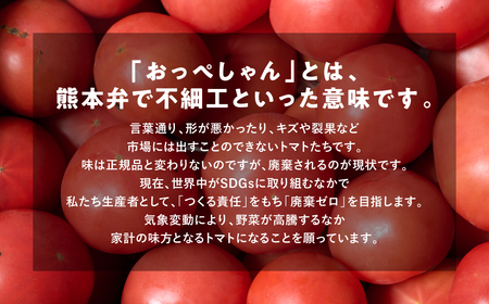 【先行予約】 訳あり おっぺしゃんトマト 4kg トマト とまと 野菜 やさい 旬の野菜 地元産野菜 特産品 お取り寄せ 家庭用 食卓 【2025年11月上旬より順次発送】