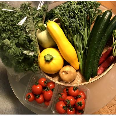 ふるさと納税 鉾田市 【朝採れ】旬のお野菜詰め合わせMサイズ