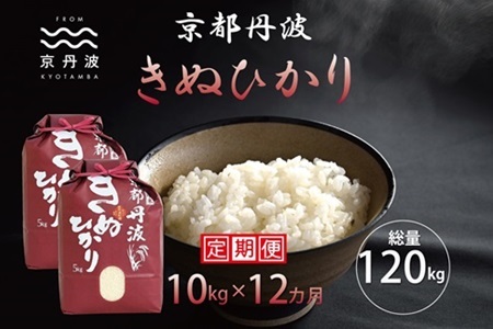 【12回定期便】 京丹波きぬひかり 10kg×12カ月連続 合計120kg 令和7年産【 京丹波産 キヌヒカリ  定期便  お米  米  白米  京都 】 [216MB002R]