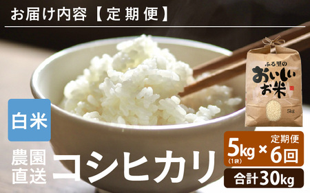 【先行予約】【令和8年産・新米】【農家直送定期便 6ヶ月コース】【白米】 本原農園のまごころコメた 福井県産 コシヒカリ 5kg × 6回 計30kg 【2026年10月上旬以降順次発送】 [G-89