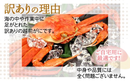 越前ガニ本場の越前町からお届け！越前ガニ浜茹で【訳あり】 越前ガニ（大 )×1杯 食べ方しおり かにスプーン付き 越前町の網元漁師厳選の越前ガニ【かに カニ 蟹】【2月発送分】 [e15-x005_0