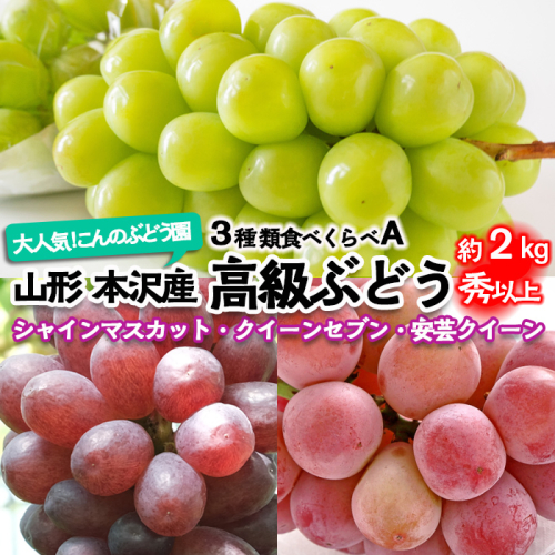 大人気！【こんのぶどう園】山形本沢産 高級ぶどう 3種食べくらべA 秀以上 約2kg 【令和7年産先行予約】FU22-339 フルーツ くだもの 果物 山形 山形県 山形市 ぶどう 葡萄 ブドウ セット 2025年産