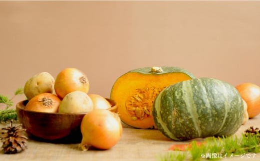 《令和8年分》数量限定！季節のお野菜詰め合わせ 秋(配送時期：9月～10月)
