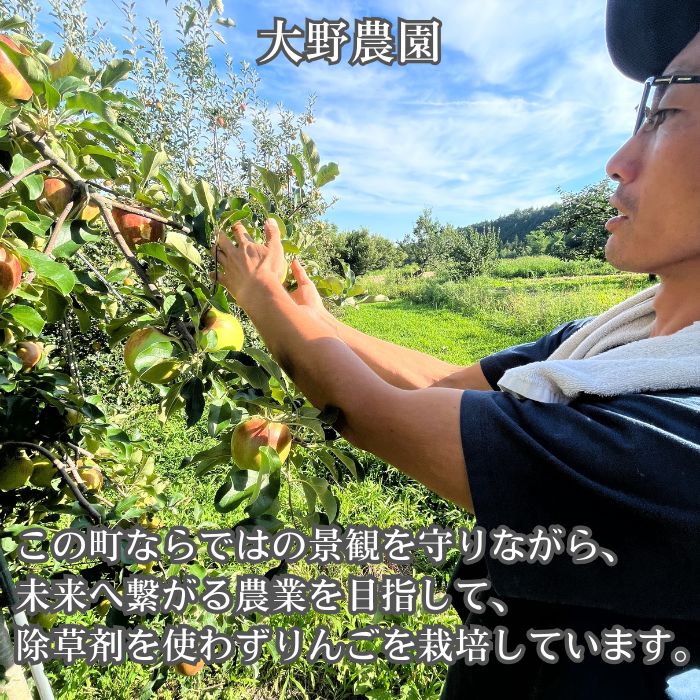 錦秋(きんしゅう) 5kg箱 ＜9月下旬より発送＞ 長野県 南信州 高森町 りんご