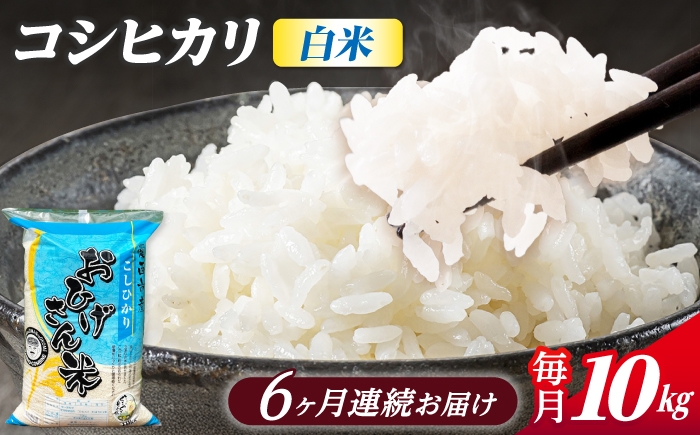 
                  【6回定期便】コシヒカリ 白米 10kg×6ヵ月 愛西市 / 脇野コンバイン [AECP028]
                
