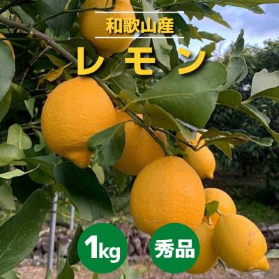 ふるさと納税 由良町 【2027年1月中旬より順次発送】和歌山県産　レモン　約1kg　サイズ混合