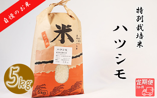 ≪令和6年産≫ 新米 【3か月定期便】 【特別栽培米】 垂井町産 ハツシモ (5kg×3回）