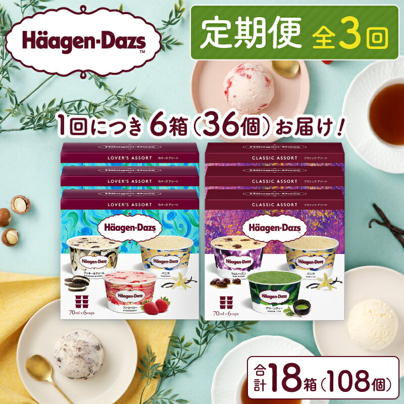 【ふるさと納税】＼レビューキャンペーン実施中!!／ 全3回 連続 定期便 アソートボックス セット ハーゲンダッツ アイス スイーツ デザート バニラ ストロベリー ご褒美 詰め合わせ 贅沢 乳製品 おやつ 人気 毎月お届け おすすめ お取り寄せ 冷凍 北海道 浜中町 送料無料