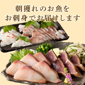 【単月お届け】大和の高級お刺身　6人前【冷蔵】 N072-YA6611-1